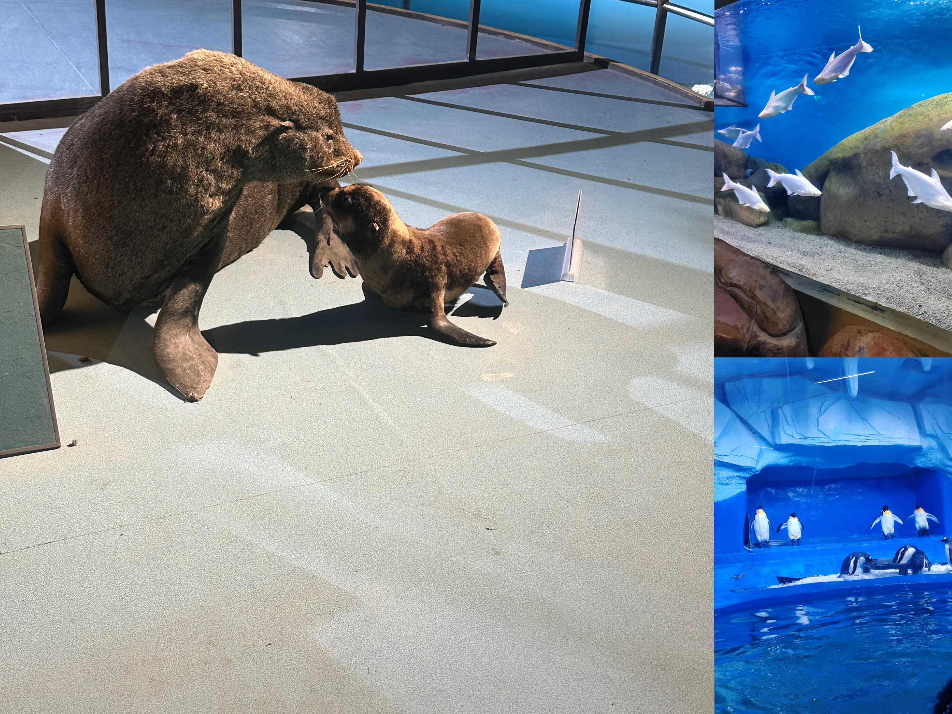 ����������(�й�)������-�й�����