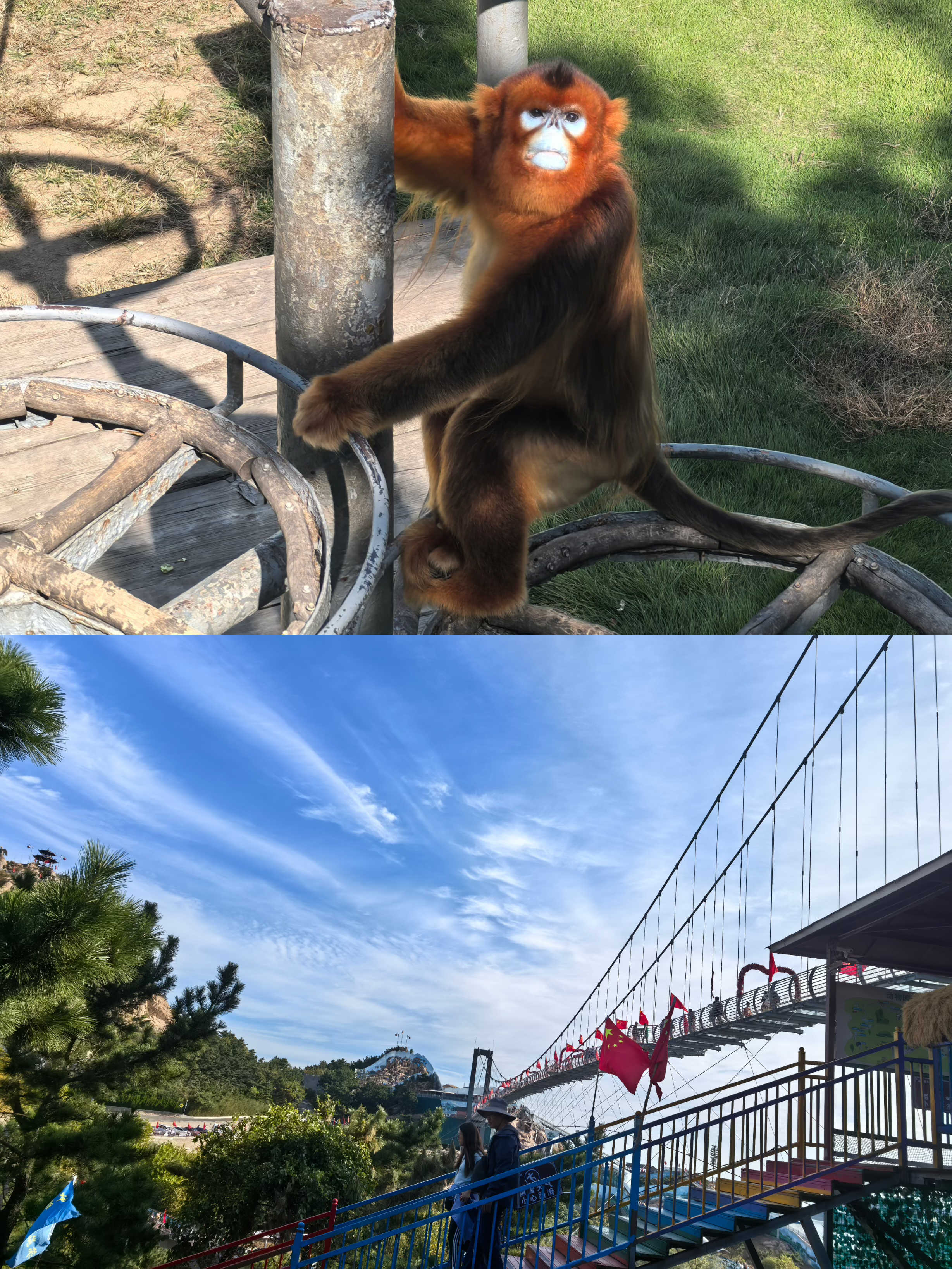 ����������(�й�)������-�й�����