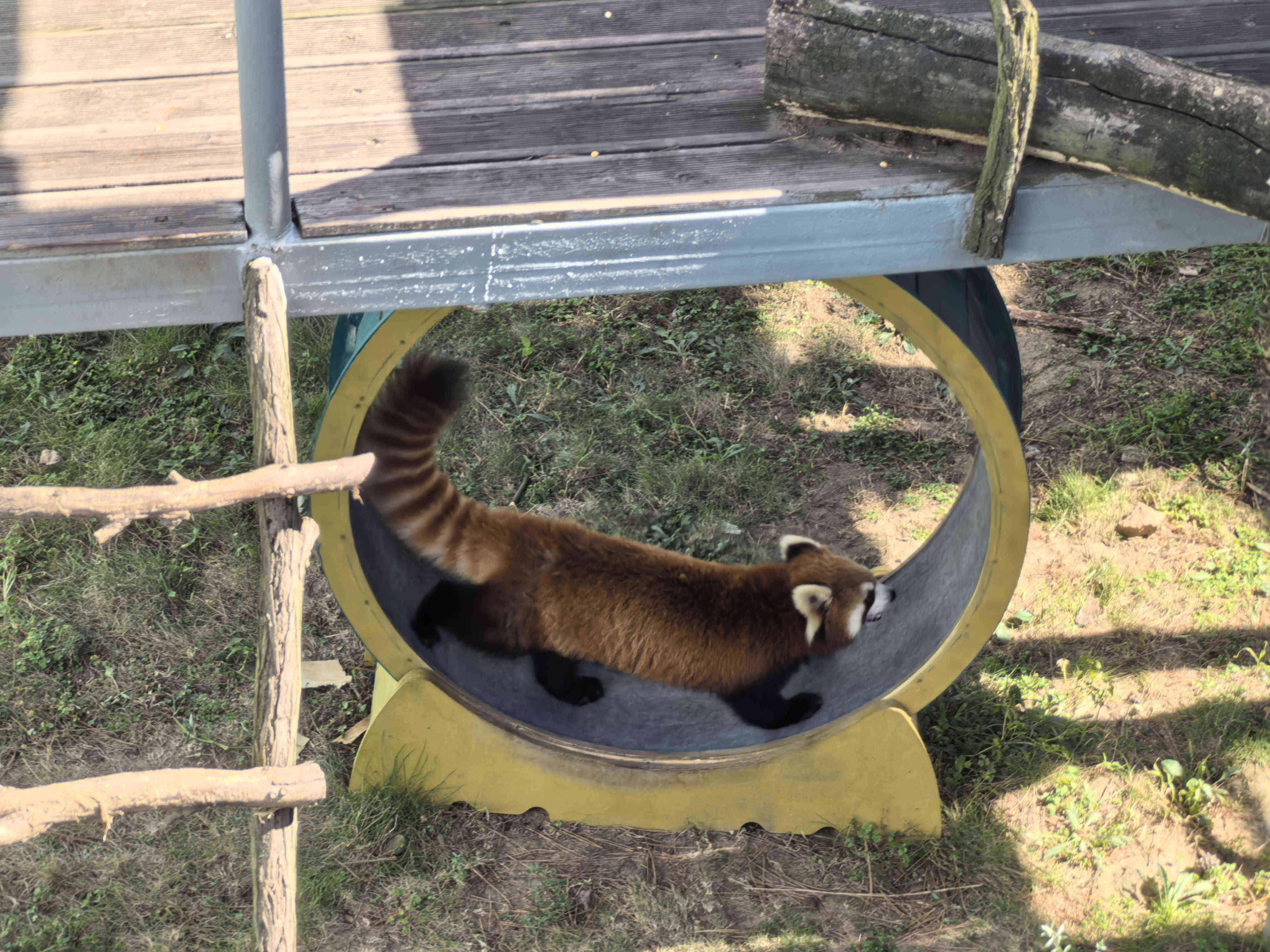 ����������(�й�)������-�й�����