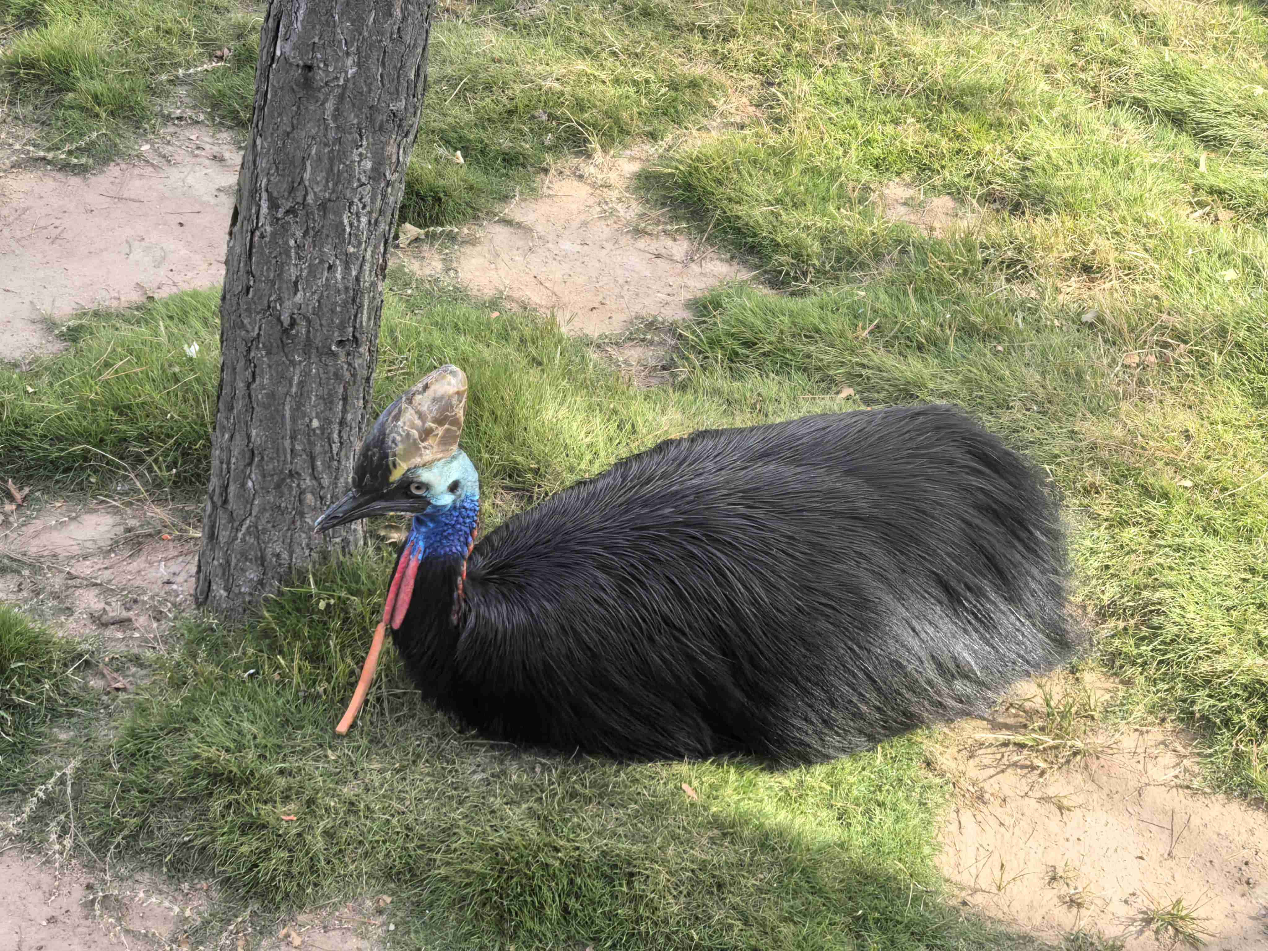 ����������(�й�)������-�й�����